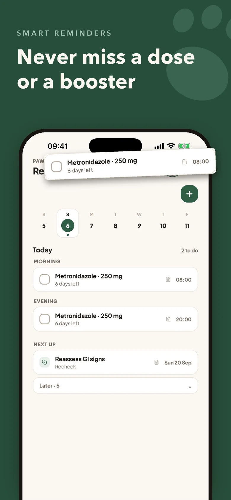 Pawmi on iPhone: Reminders day plan with morning and evening medication doses, days left, and a recheck up next